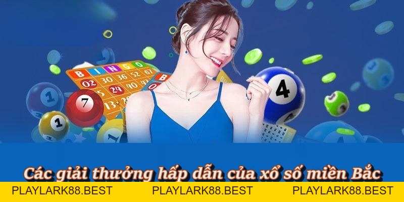 Xổ Số Miền Bắc – Hành trình may mắn bắt đầu từ con số - Playlark88