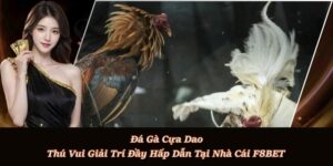 Đá Gà F8BET - Sảnh Cá Cược Đá Gà Trực Tiếp, Đá Gà Thomo - Playlark88