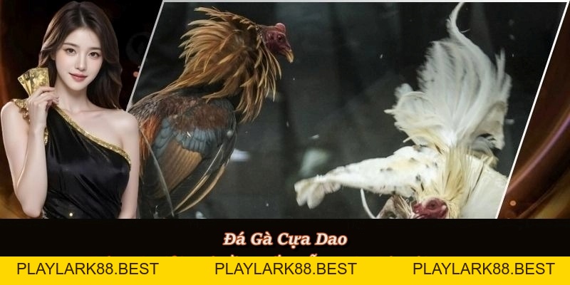 F8BET igotgame ⭐️ Link Chính Thức F8BET.COM Không Chặn 2026 - Playlark88