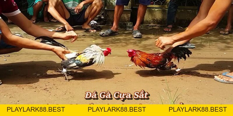 F8BET igotgame ⭐️ Link Chính Thức F8BET.COM Không Chặn 2026 - Playlark88