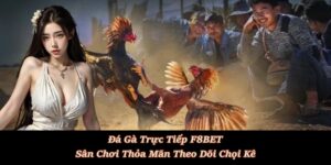 Đá Gà F8BET - Sảnh Cá Cược Đá Gà Trực Tiếp, Đá Gà Thomo - Playlark88