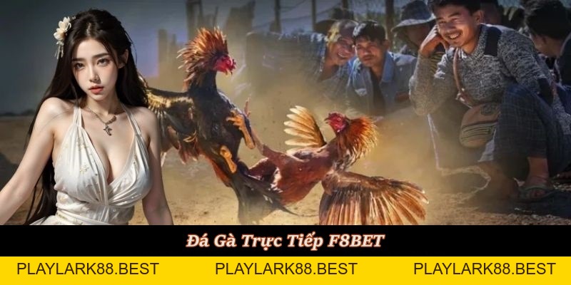 F8BET igotgame ⭐️ Link Chính Thức F8BET.COM Không Chặn 2026 - Playlark88
