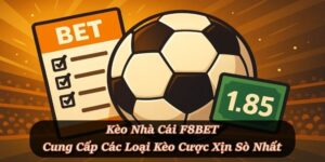 Thể Thao F8BET - Sảnh Cá Cược Thể Thao Xanh Chín Nhất - Playlark88