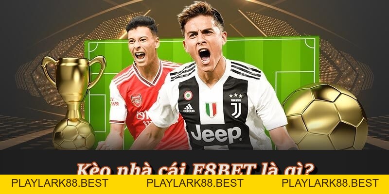 Kèo Nhà Cái F8BET - Nơi hội tụ kèo cược chất lượng - Playlark88 Kèo Nhà Cái F8BET - Nơi hội tụ kèo cược chất lượng - Playlark88