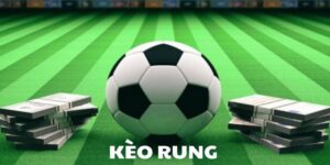 Thể Thao F8BET - Sảnh Cá Cược Thể Thao Xanh Chín Nhất - Playlark88