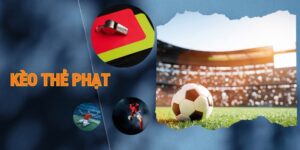 Thể Thao F8BET - Sảnh Cá Cược Thể Thao Xanh Chín Nhất - Playlark88