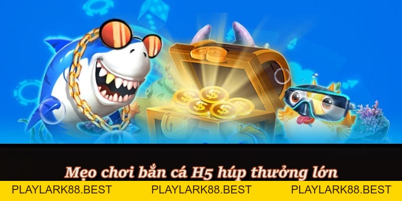 Bắn Cá H5 – Trải nghiệm đại dương sống động ngay tại F8BET - Playlark88 Bắn Cá H5 – Trải nghiệm đại dương sống động ngay tại F8BET - Playlark88