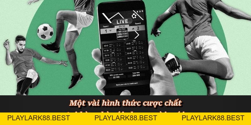 Kèo Nhà Cái F8BET - Nơi hội tụ kèo cược chất lượng - Playlark88 Kèo Nhà Cái F8BET - Nơi hội tụ kèo cược chất lượng - Playlark88