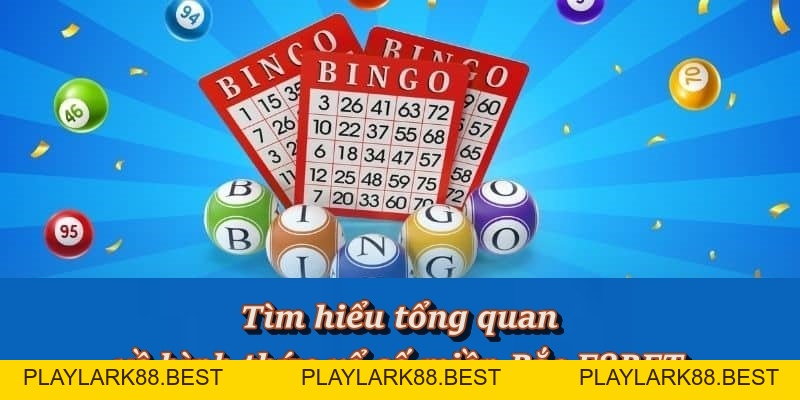 Xổ Số Miền Bắc – Hành trình may mắn bắt đầu từ con số - Playlark88