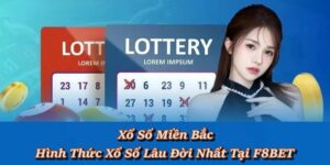 Xổ Số F8BET – Thế Giới Giải Trí Online Trúng Thưởng Siêu Cao - Playlark88