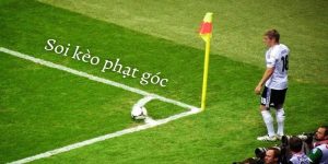 Thể Thao F8BET - Sảnh Cá Cược Thể Thao Xanh Chín Nhất - Playlark88